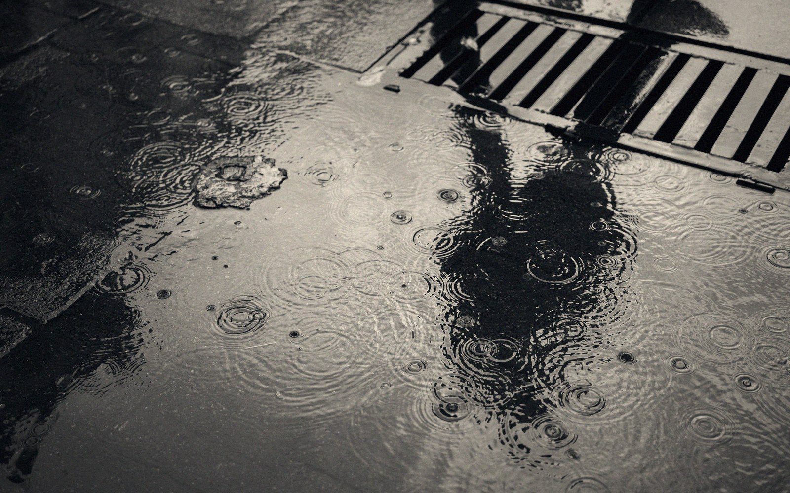 Raindrops ripple across a wet pavement with a person's shadow near a drain grate